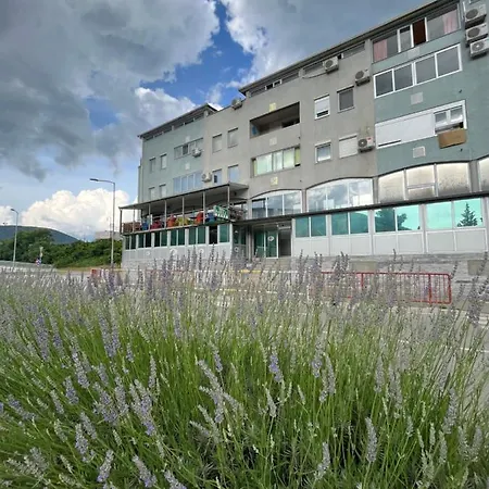 Apartment Nil